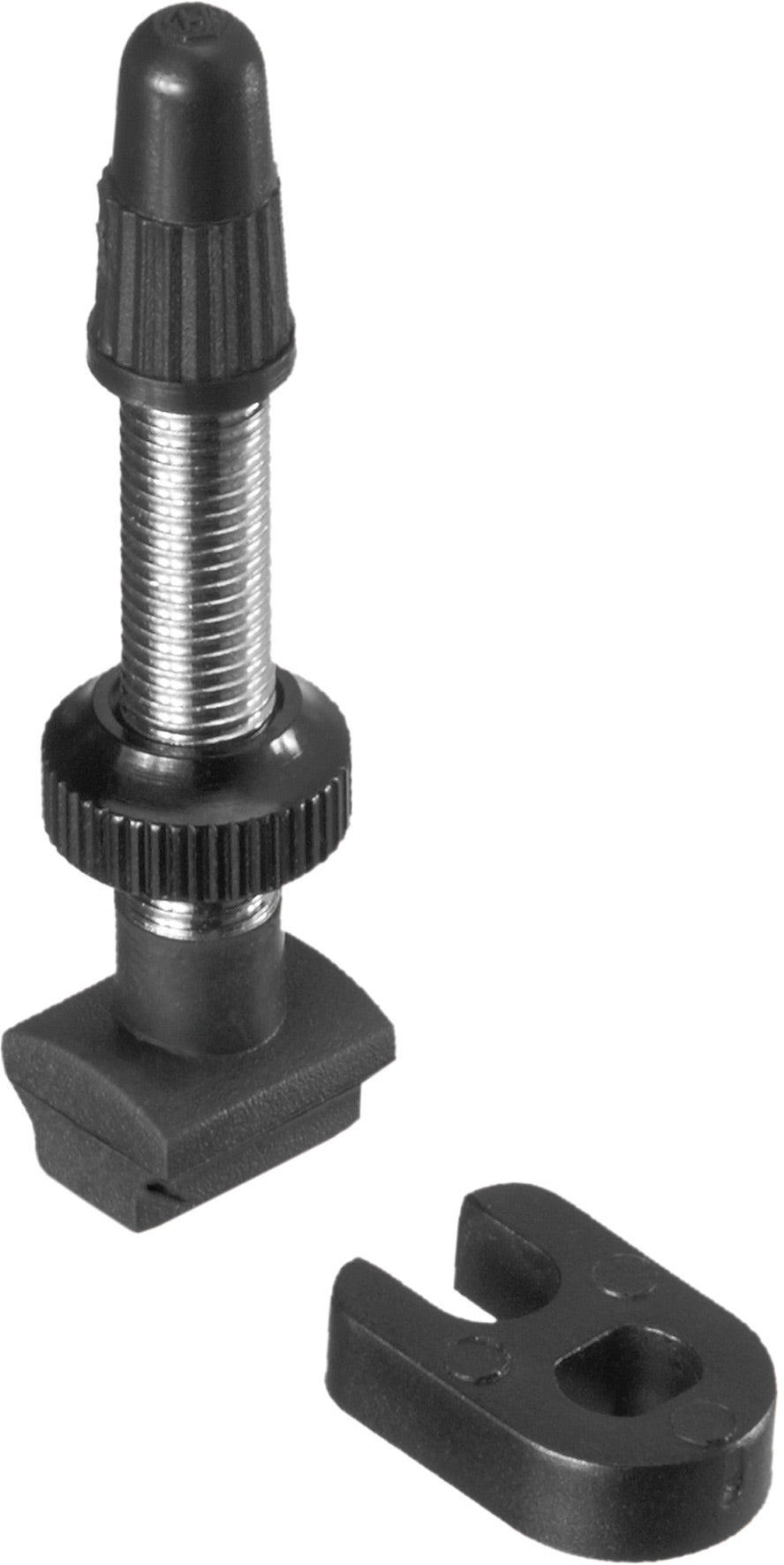 Brass Tubeless Valve MTB