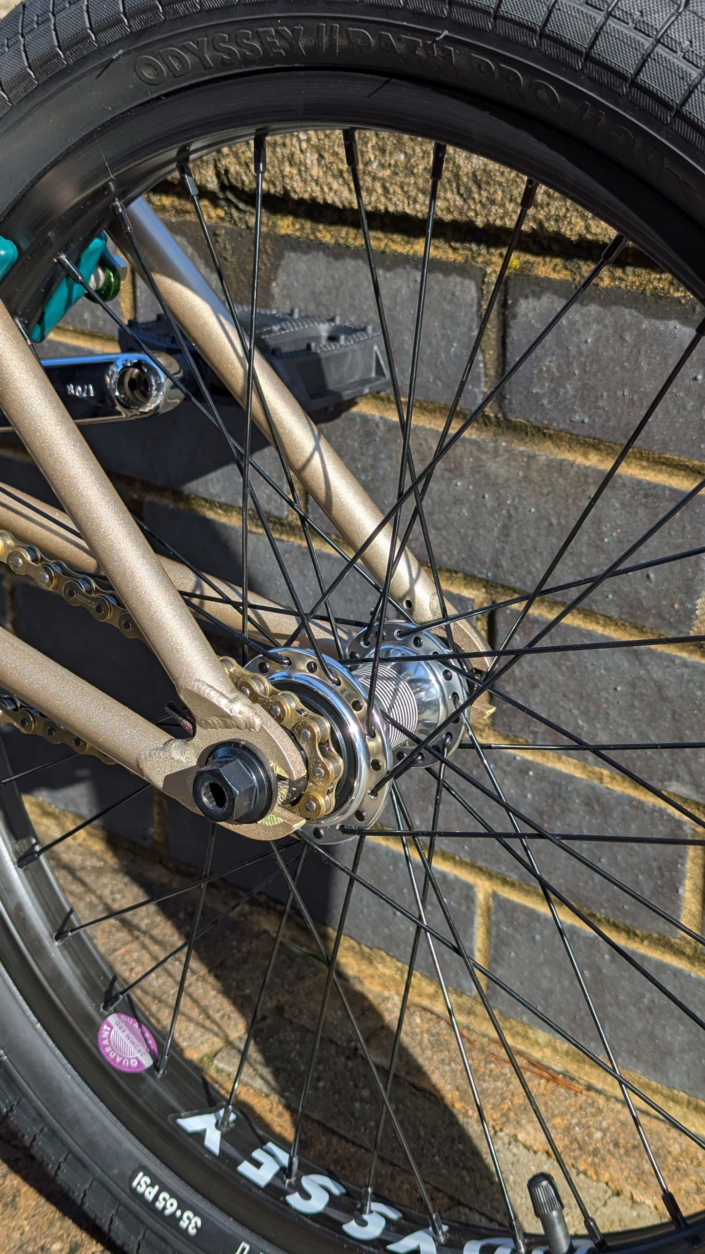 United Bike Co Custom Built AYS (Are you serious) BMX 21" TT Champagne